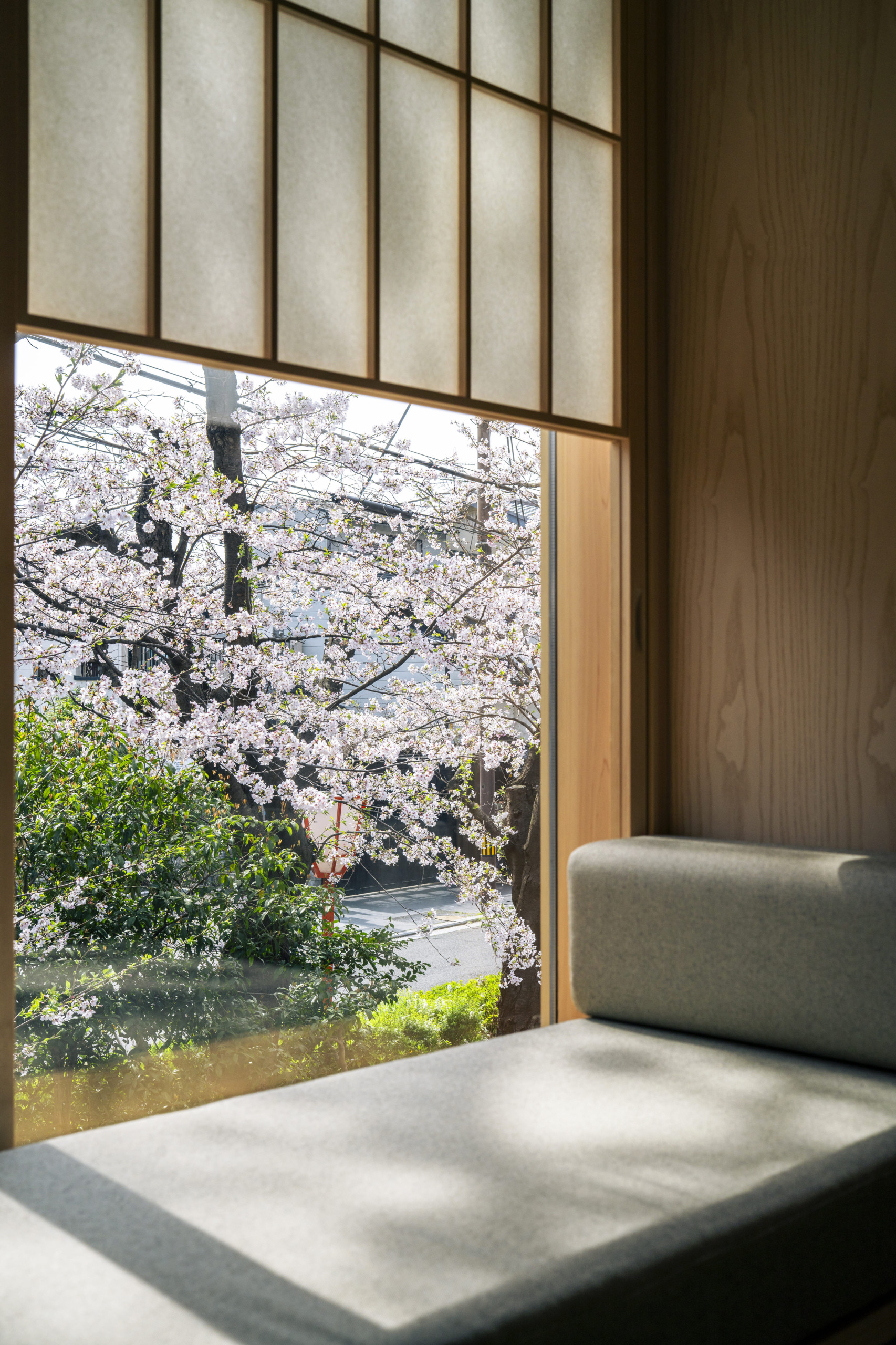 Takasegawa View 3