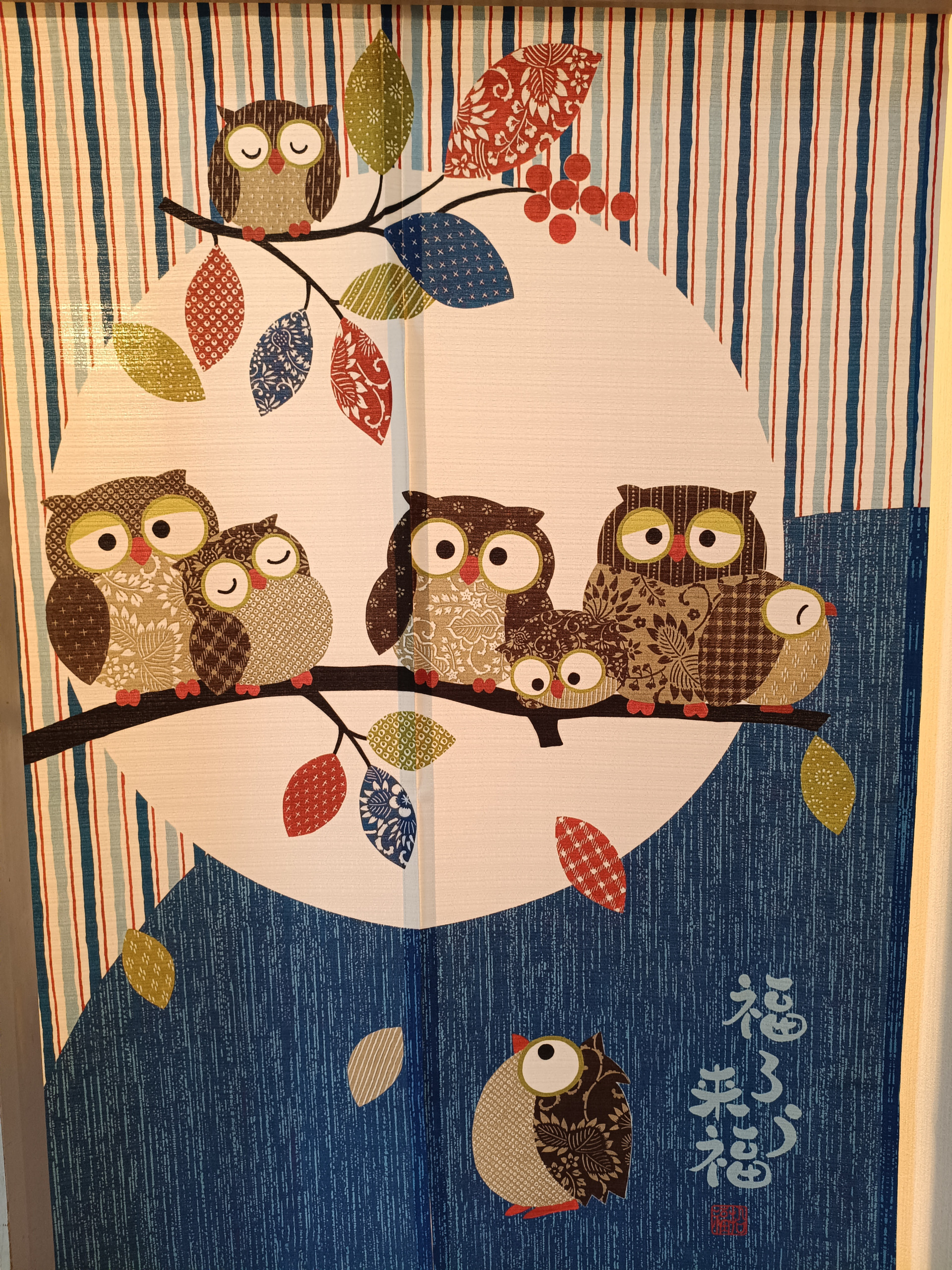 IMG_20260210_1421371