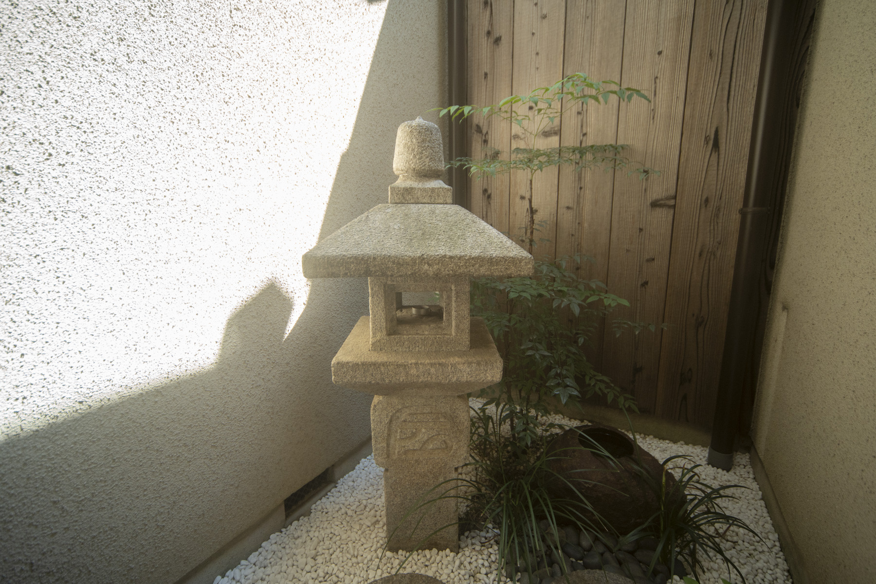 GojoMachiya2026_Naoyuki_Ogino-4665