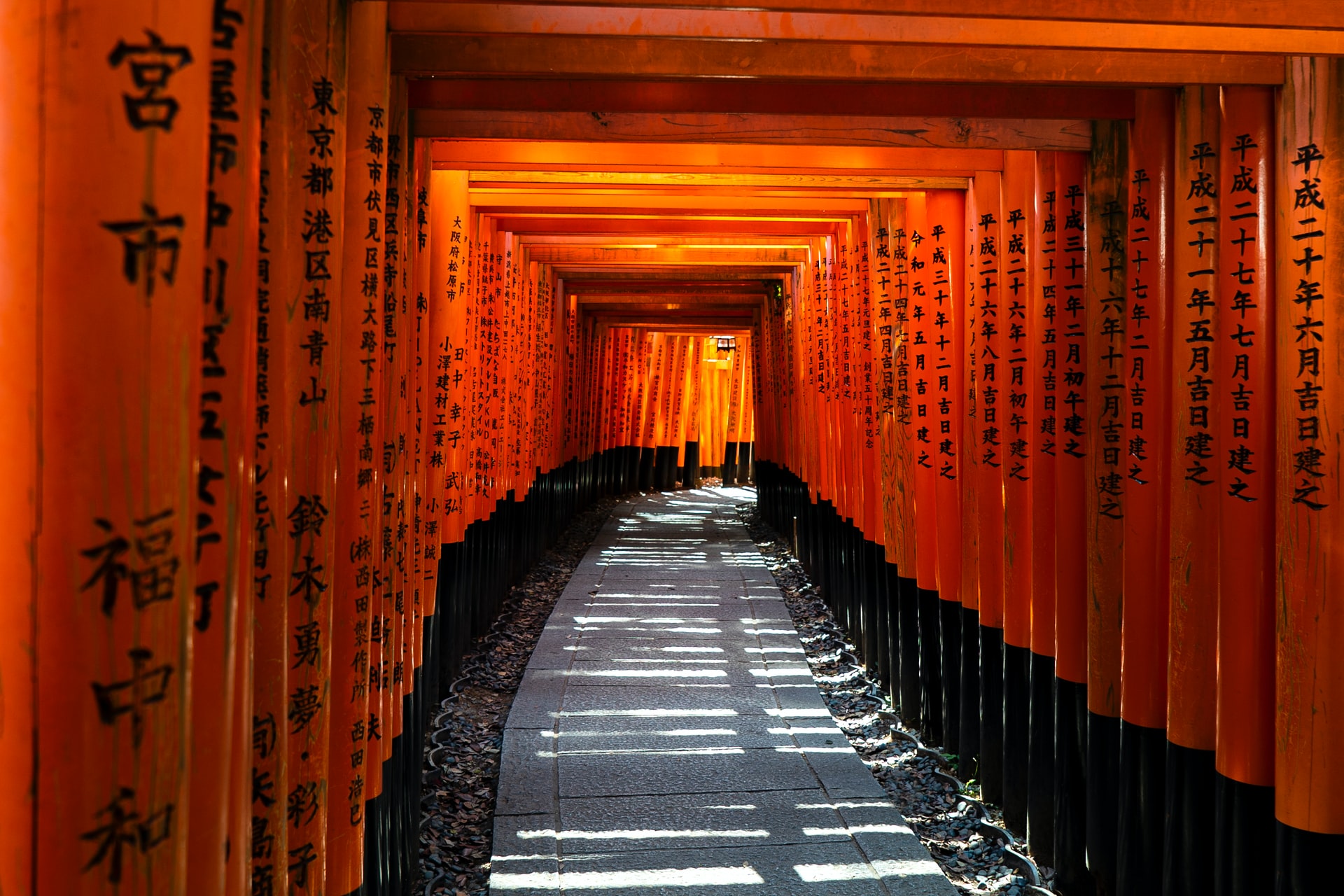 Torii tunnel of Fushimi Inari, Kyoto
