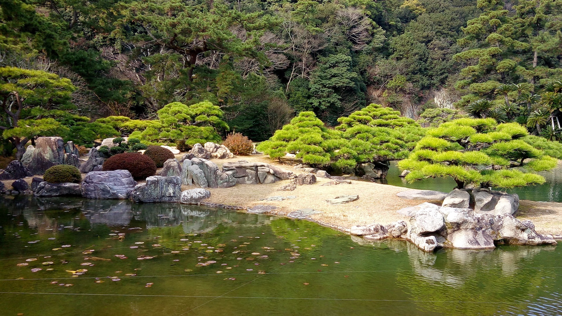Pond at Ritsurin Garden, Shikoku