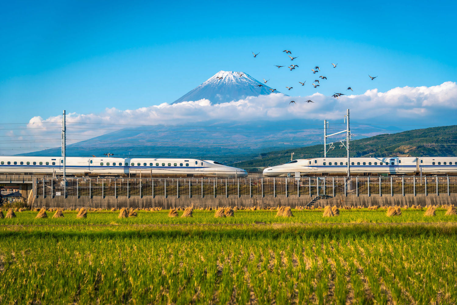Shinkansen, Mont Fuji