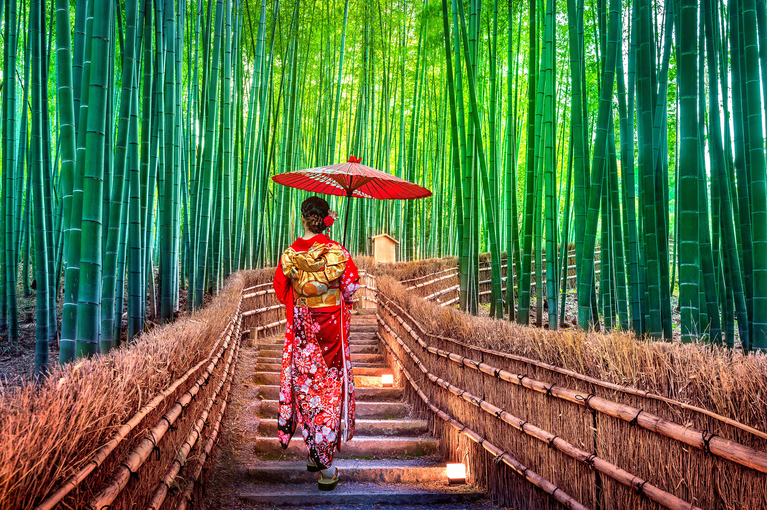 Bambushain in Arashiyama: berühmte touristische Stätte in Kyoto