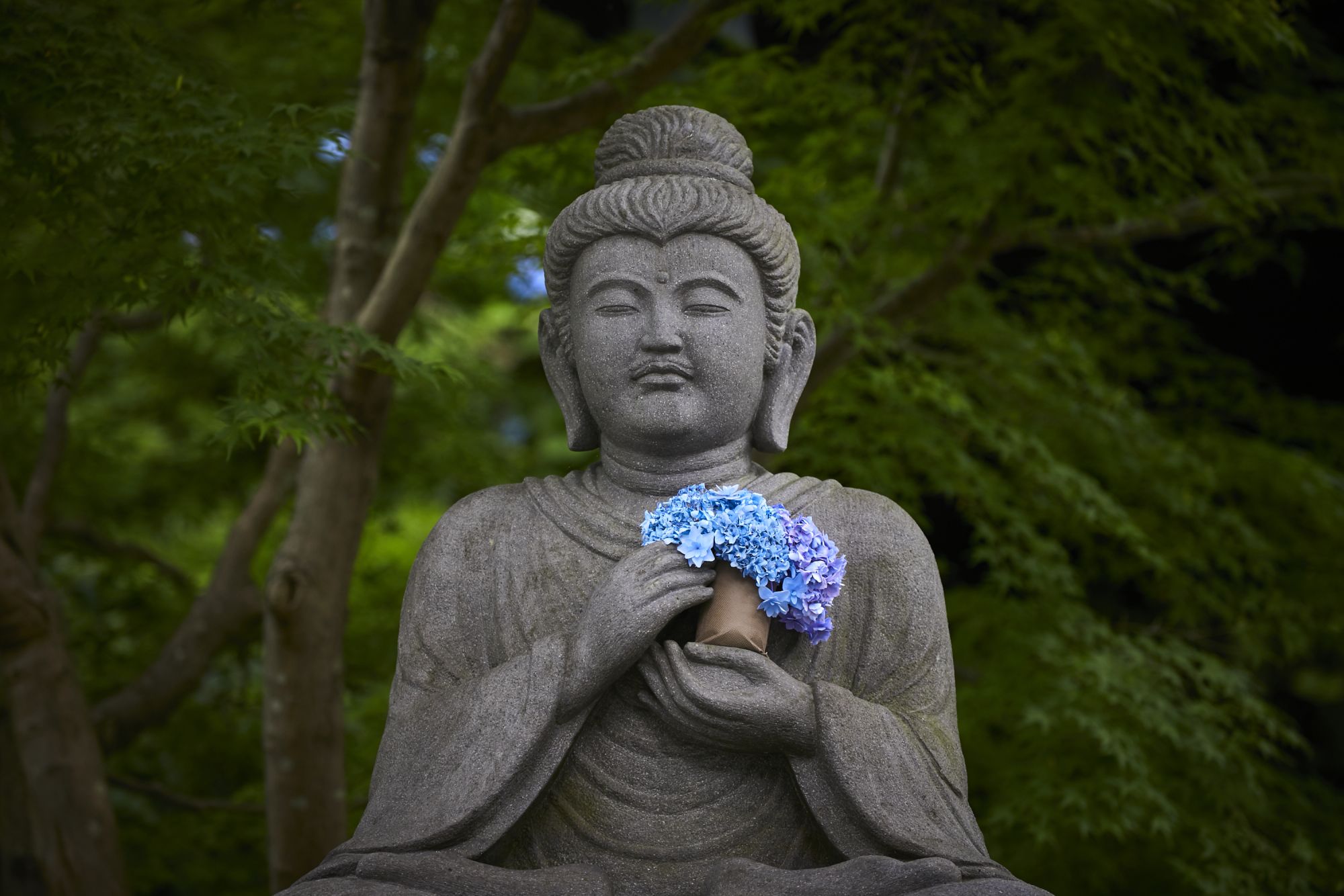 Der Hasedera-Tempel in Kamakura ist eine Reise von Tokio wert!