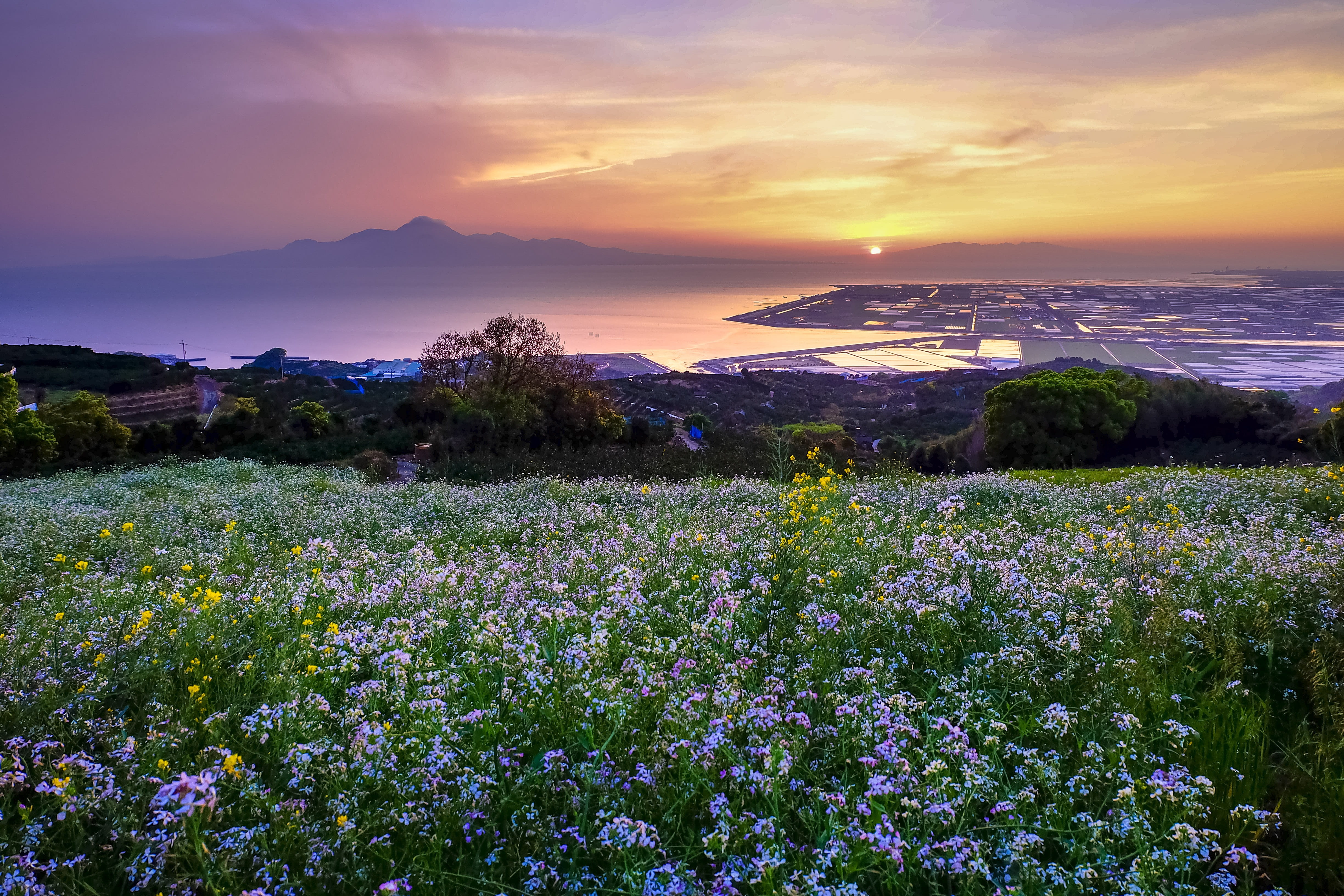 Campagne japonaise sur l'île de Kyushu au Japon, dans les environs de Kumamoto