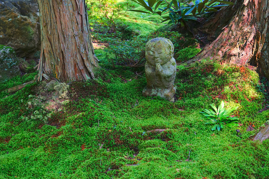 The lovely moss garden of Sanzenin temple