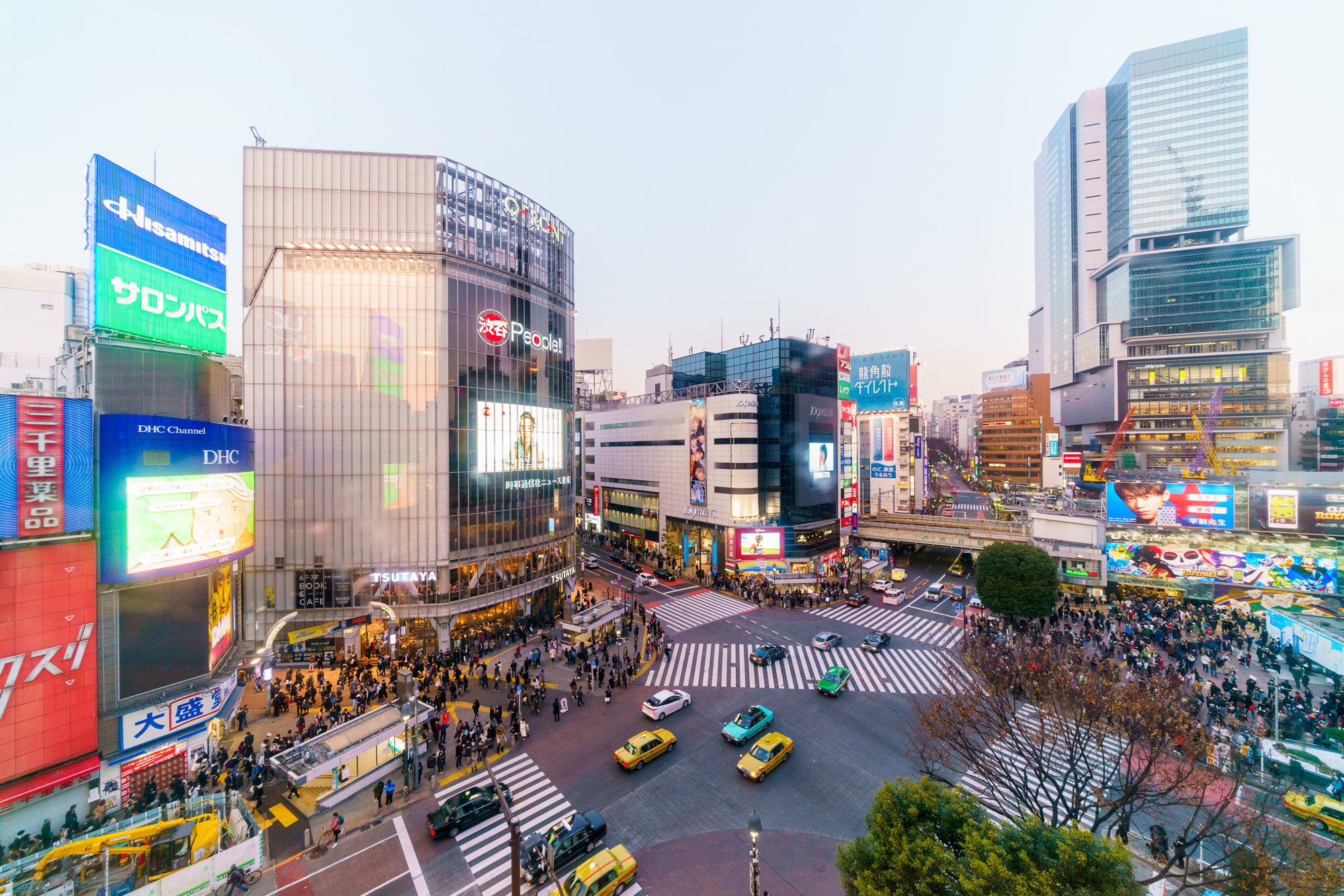 Shibuya, le croisement le plus célèbre du monde !