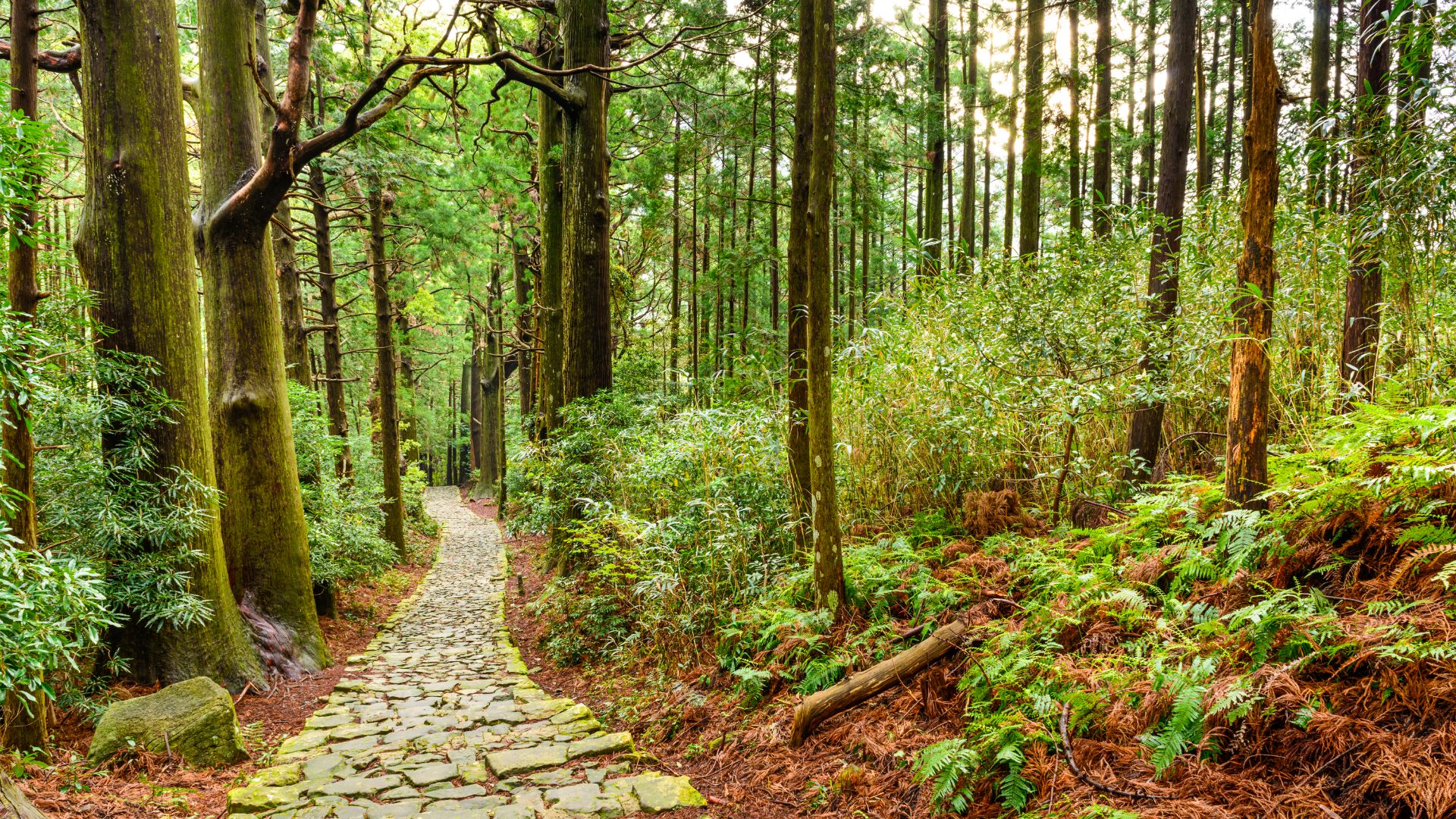 The Kumano Kodo, Kii Peninsula
