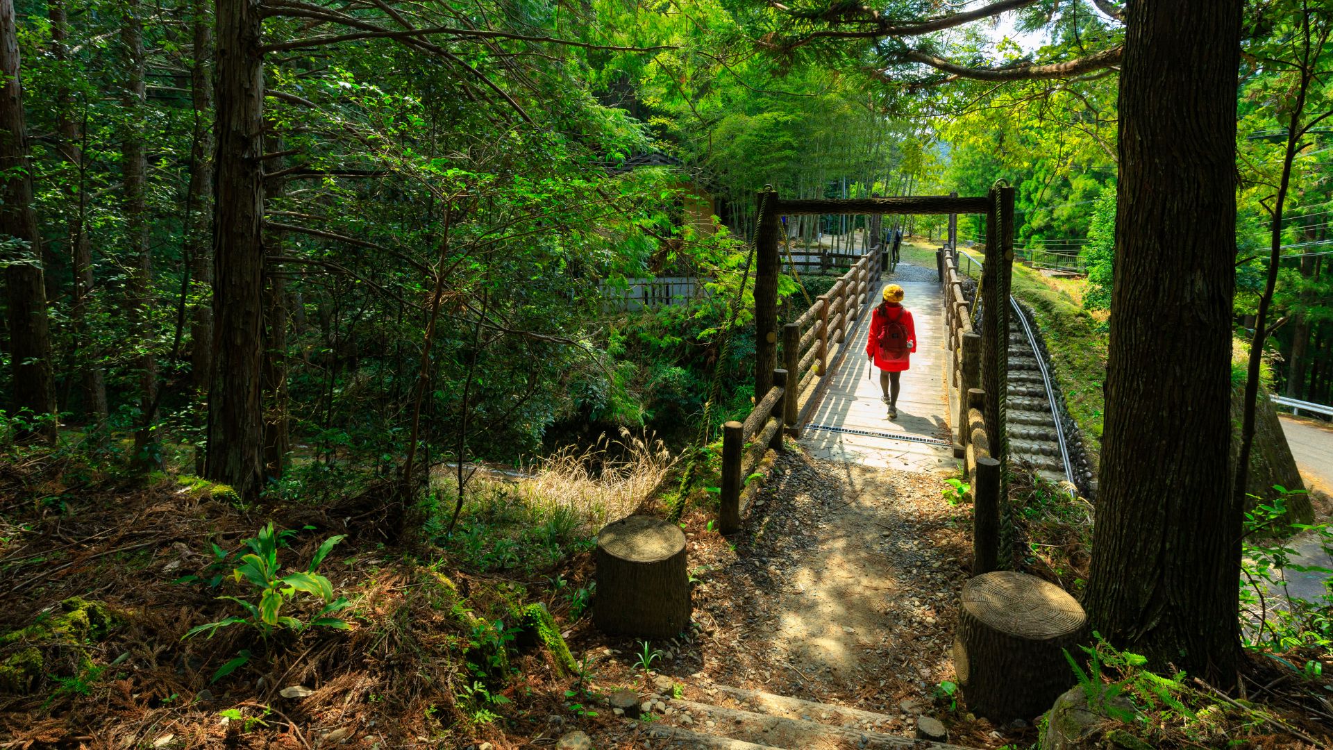 Trekking in Kumano Kodo