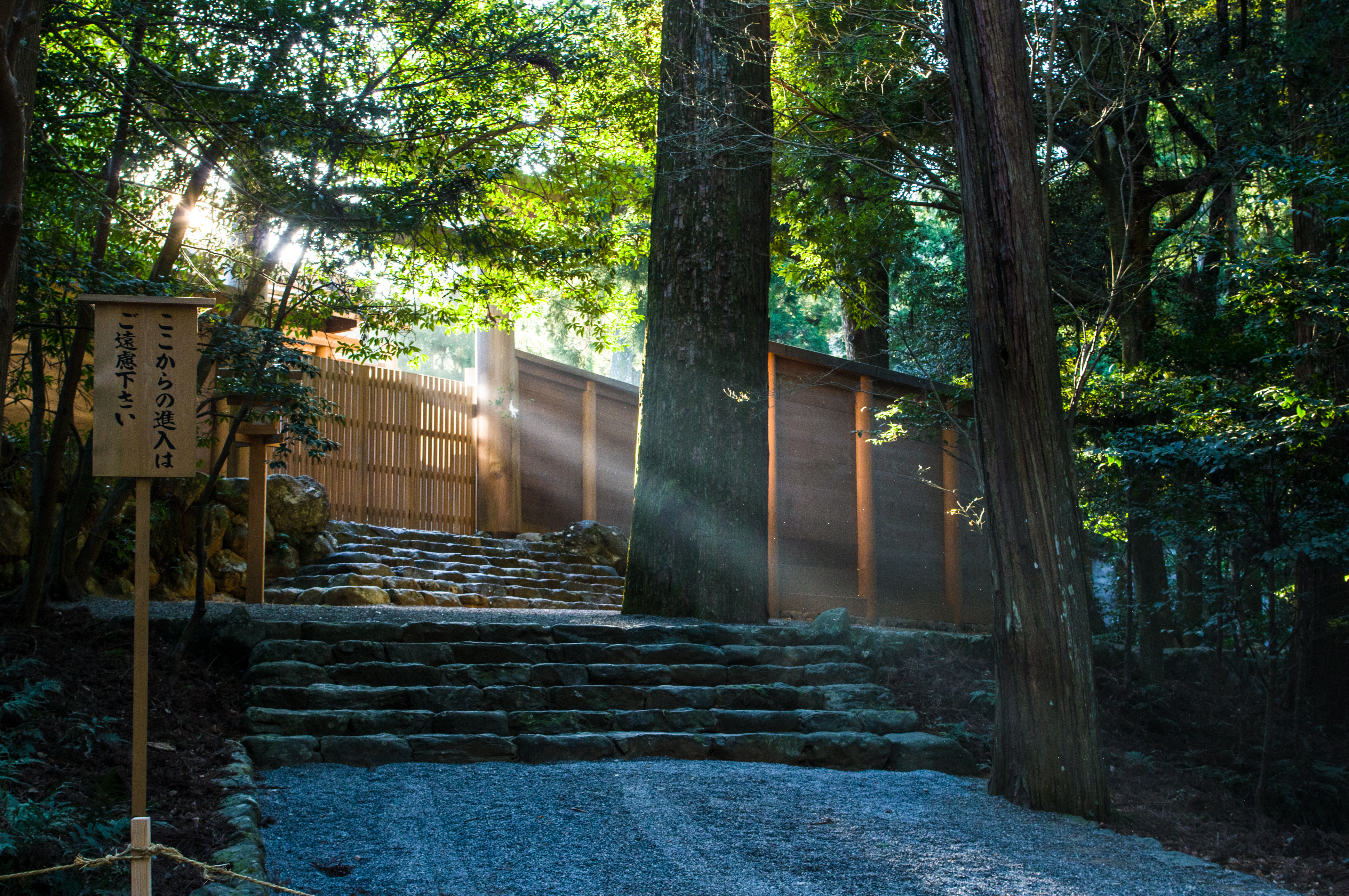 Les premiers rayons du soleil sur le sanctuaire d'Ise Jingu, département de Mie