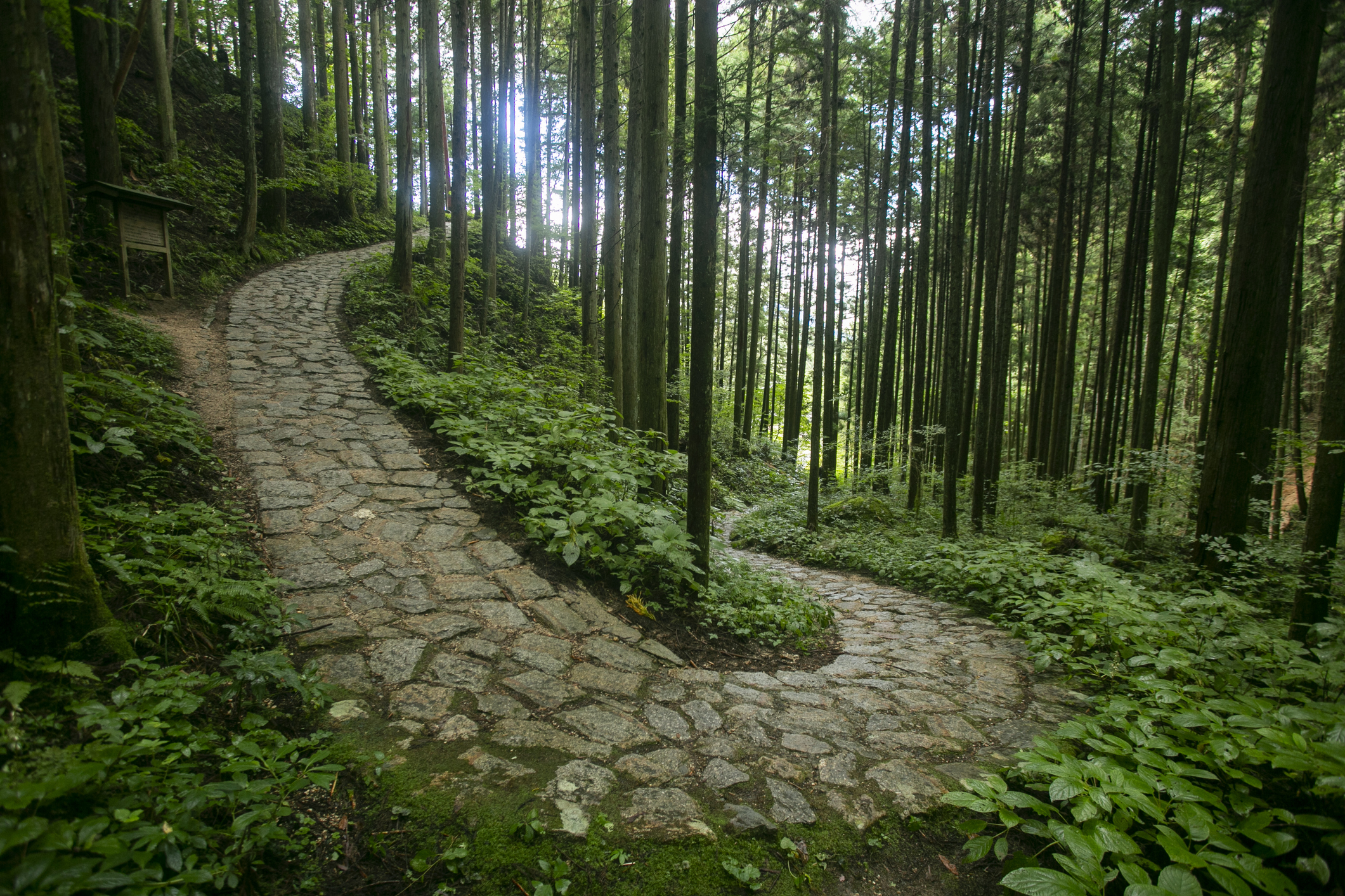 Nakasendo Trail, Kiso Valley
