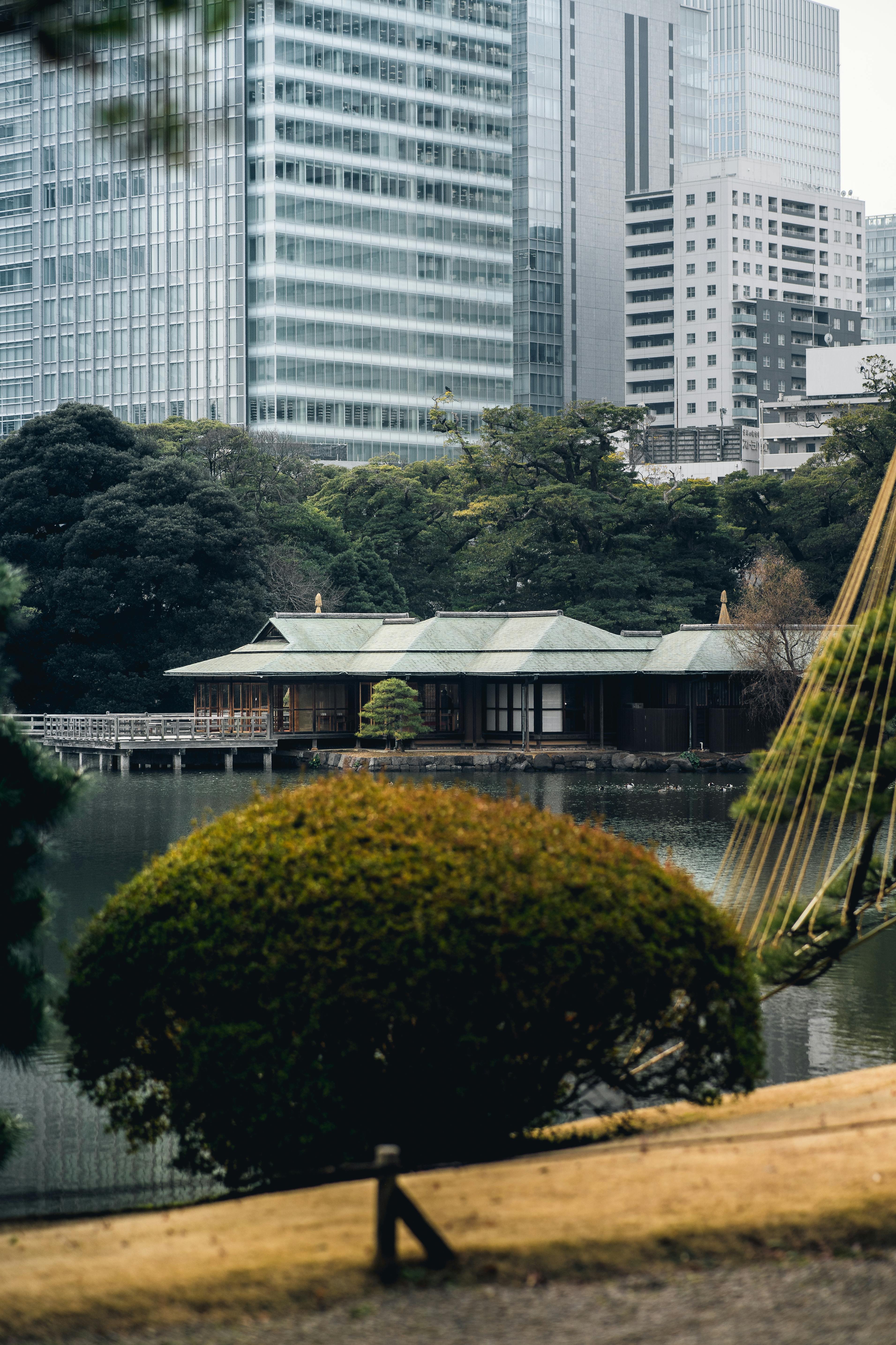 浜離宮, Hama Rikyū, Tokyo