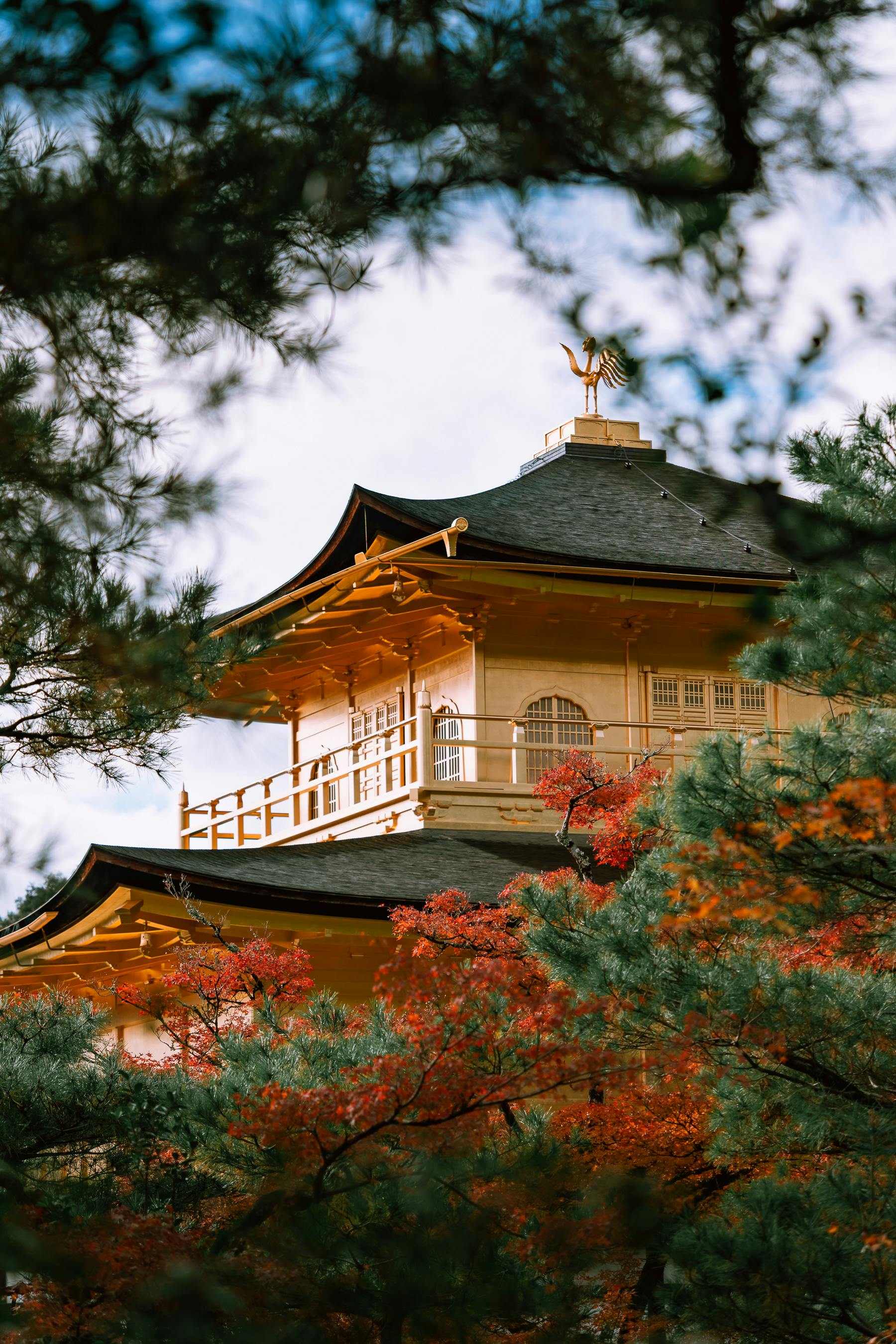 金閣寺, Kinkakuji Golden Pavilion, Kyoto