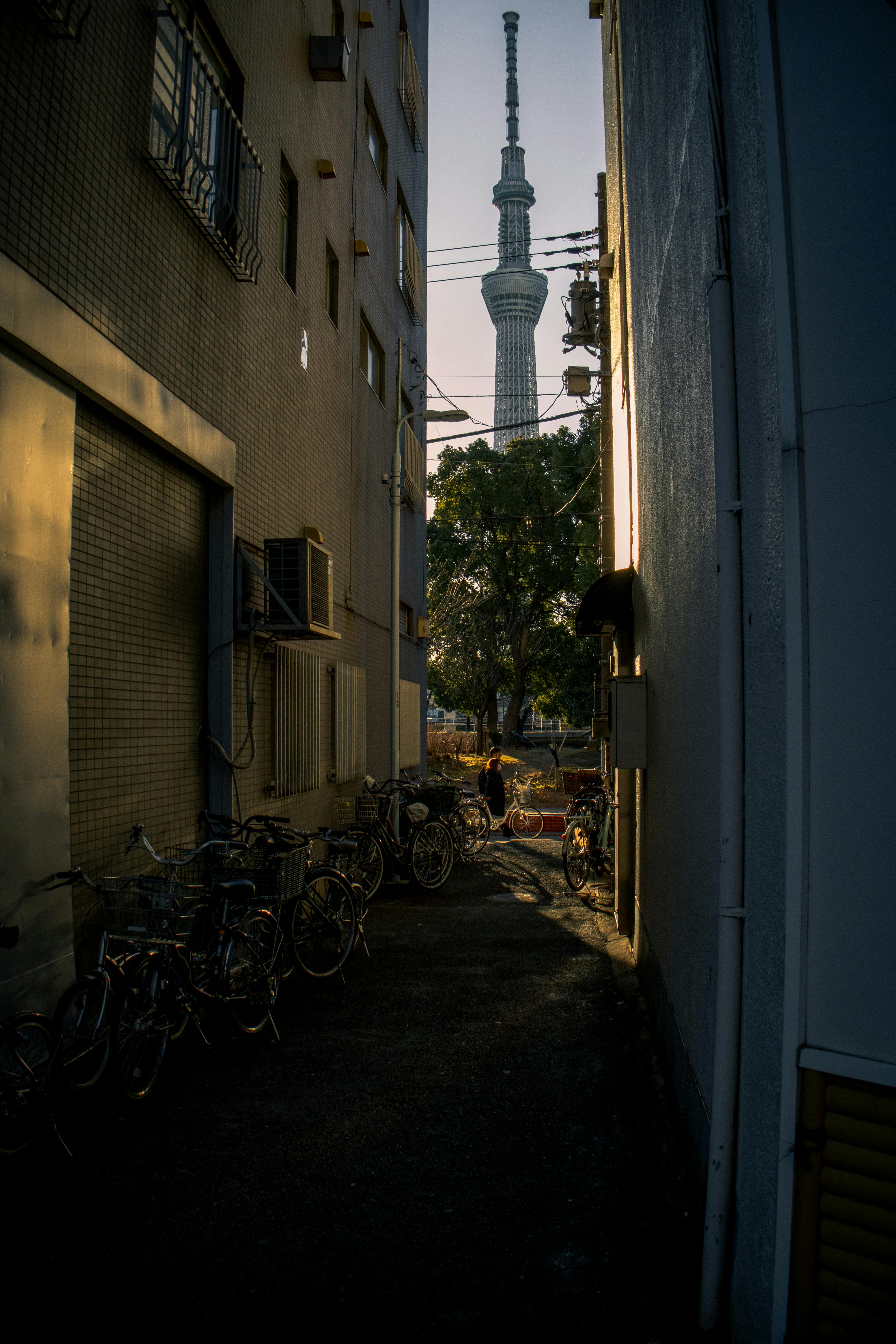 東京スカイツリー Tokyo skytree