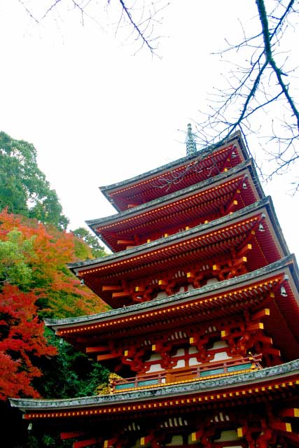 Hasedera Temple, Nara, Japan.