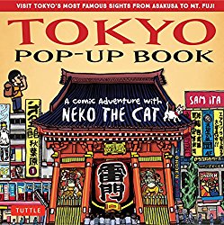 Tokyo Pop-Up Book.