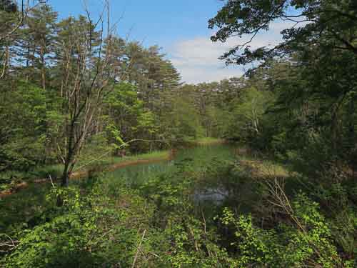 Akanuma Pond, Goshikinuma.