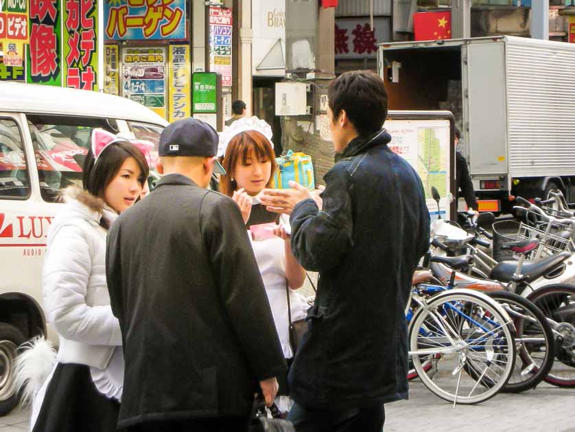 Akihabara maids, Tokyo.