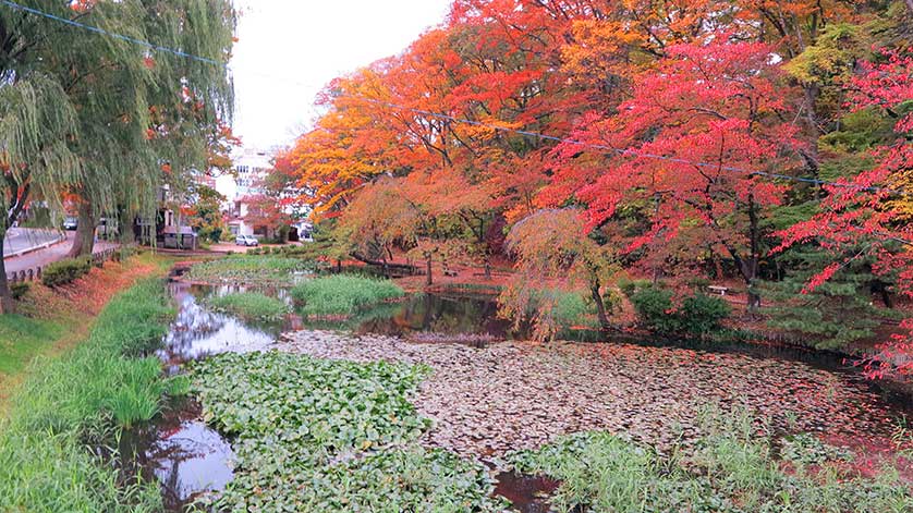 Kubota Castle, Senshu Park, Akita Prefecture, Japan.