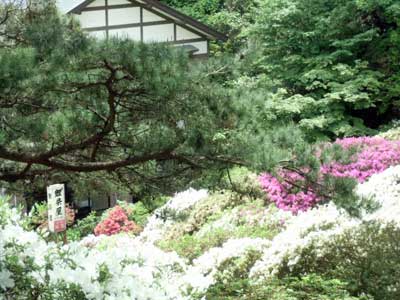 Senshu Park, Akita.