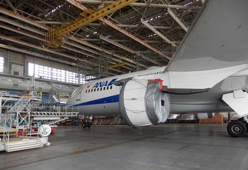 Plane under maintenance at the ANA hangar, Tokyo, Japan