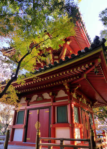 The Pagoda at Anrakuji Temple.