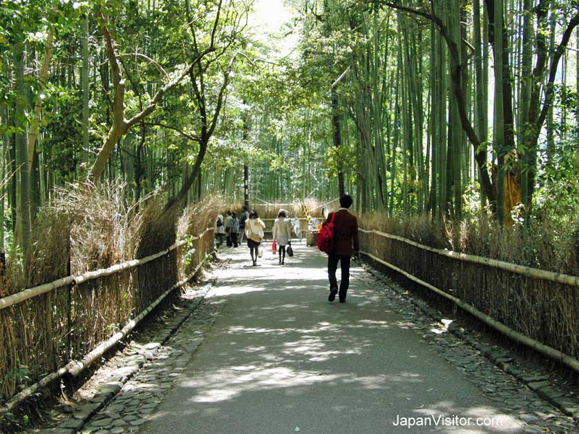 Walking through bamboo, Arashiyama, Kyoto.