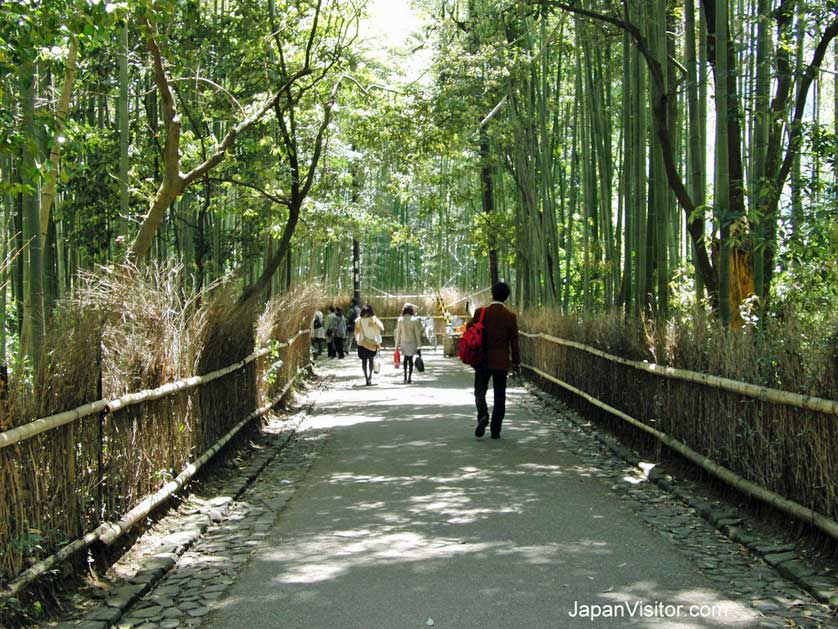 arashiyama tourism walking course