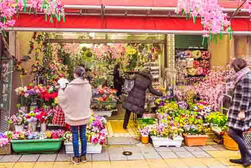 Artificial flower store, Asakusabashi, Tokyo.