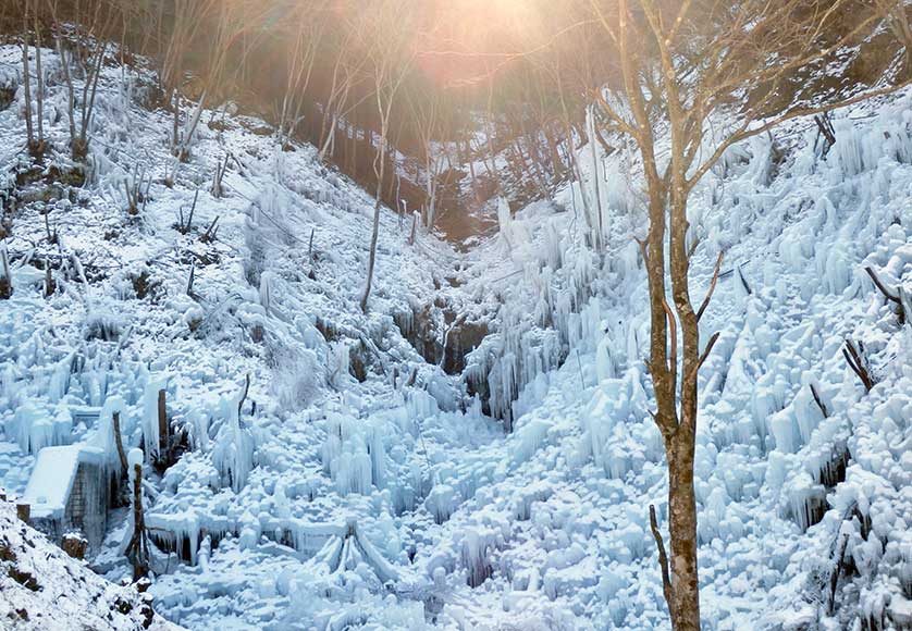 Ashigakubo Icicles, Chichibu, Saitama, Japan.