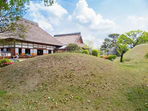 Ashikaga Gakko hillocks with Hojo.