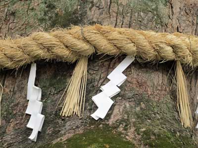 Shimenawa rope at Atsuta Shrine