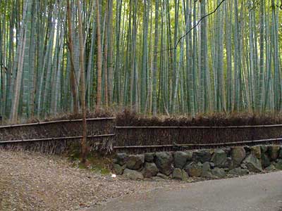 Okochi Sanso Villa, Arashiyama, Kyoto