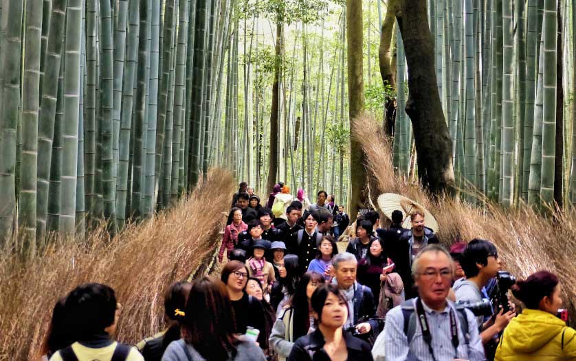 Arashiyama Bamboo Forest is usually quiet crowded.