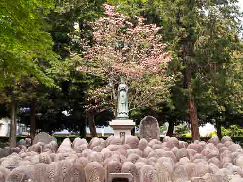 Buddha statue, Bannaji Temple.