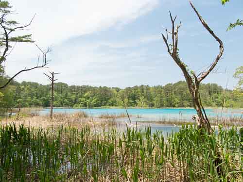 Benten-numa Pond.