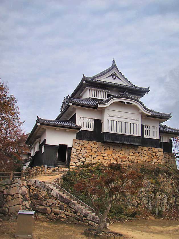 Bitchu-Matsuyama Castle.