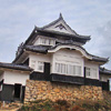 Bitchu-Matsuyama Castle.