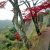 Oka Castle.