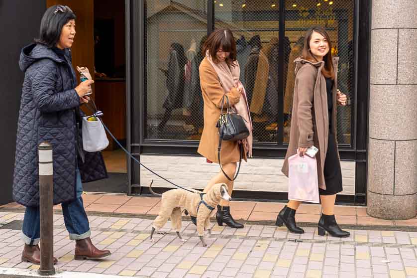Walking the dog on Cat Street, Shibuya, Tokyo.