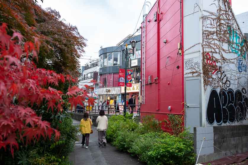 Side ally off Cat Street, Shibuya, Tokyo.