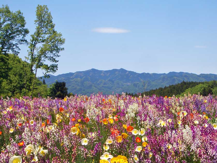 Chichibu, Chichibu, Saitama.