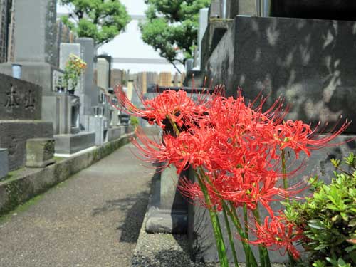 Eko-in Temple, Ryogoku,Tokyo.