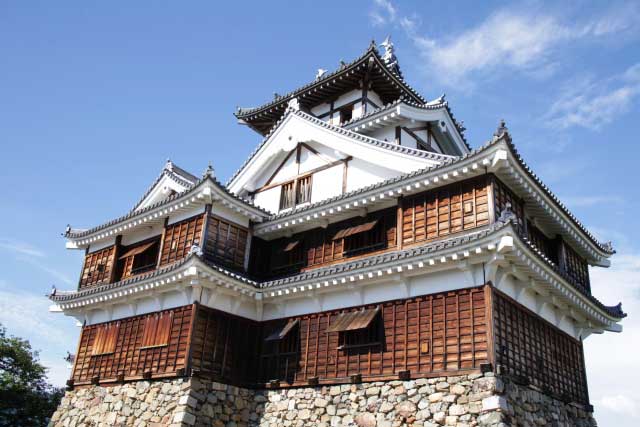 Fukuchiyama Castle.