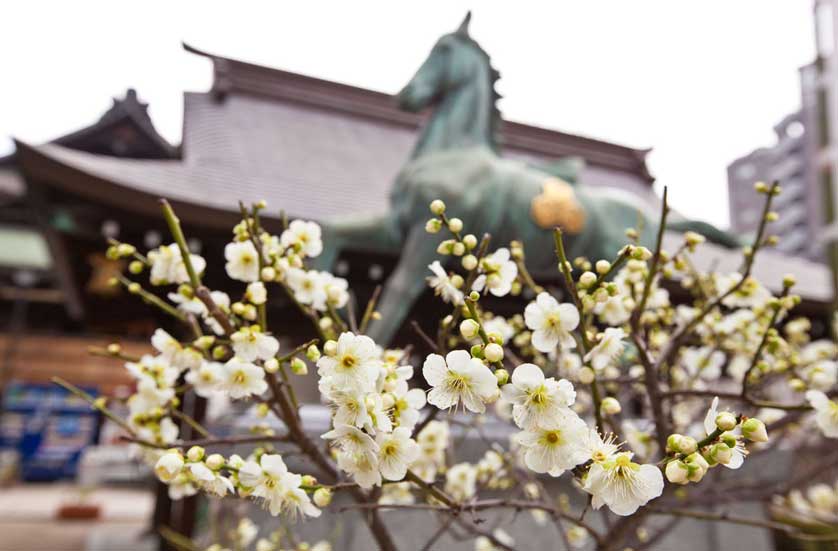 Kushida Shrine, Fukuoka