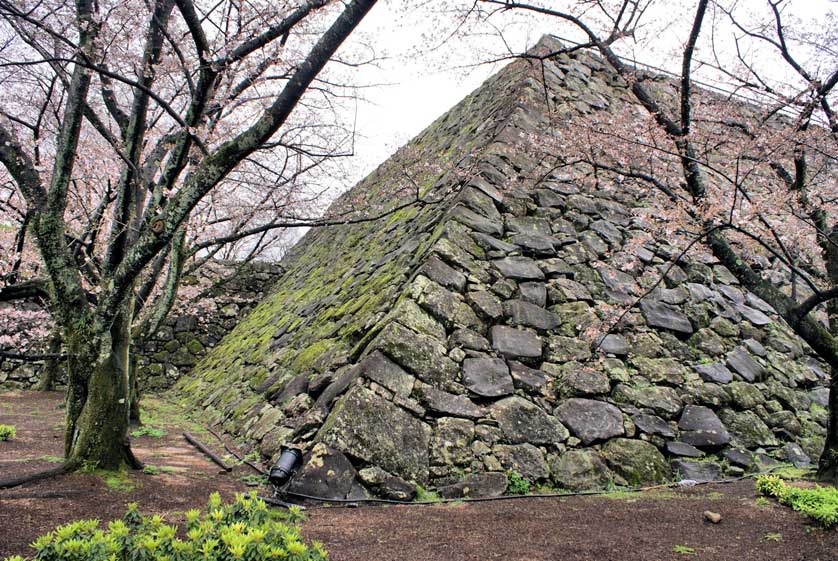 Fukuoka Castle walls.