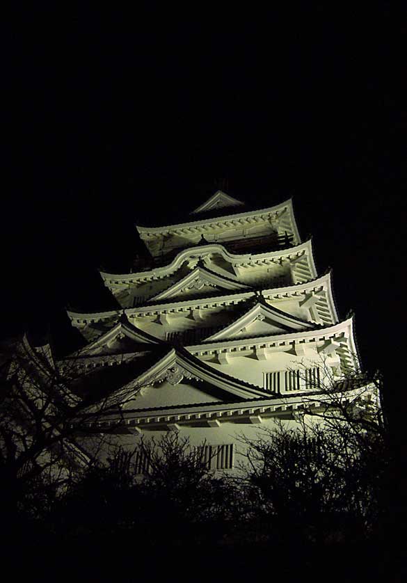 Fukuyama Castle illuminated at night.