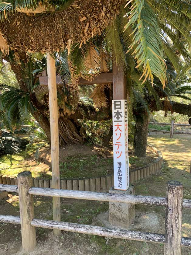 Furuichi Family House, Tanegashima, Kagoshima Prefecture.