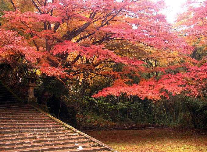 Gakuenji Temple Izumo, Shimane, Japan.
