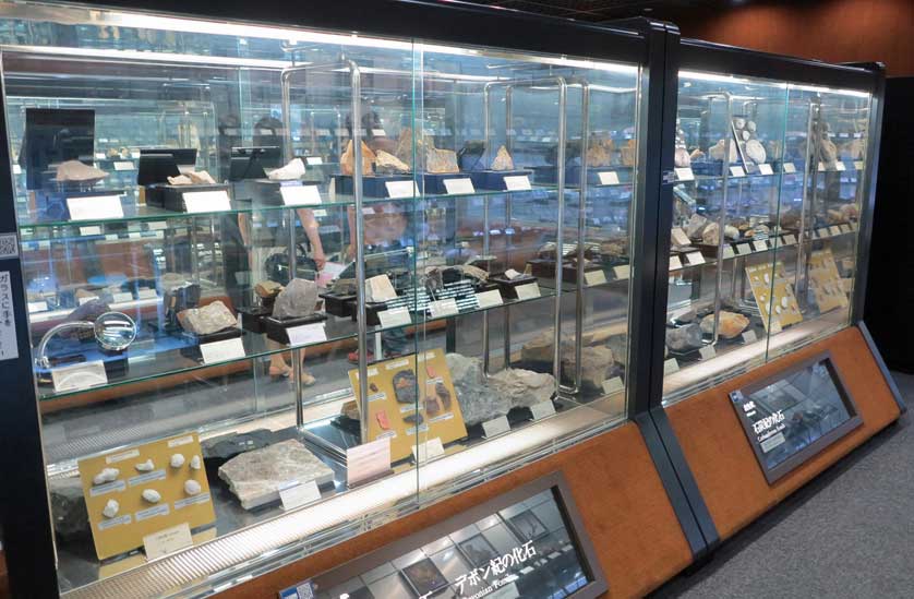 Glass cases display the collections of rocks.